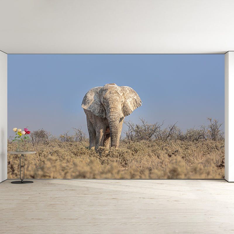 Elephant Animal Wall Covering for Home Decoration Waterproofing, Made to Measure