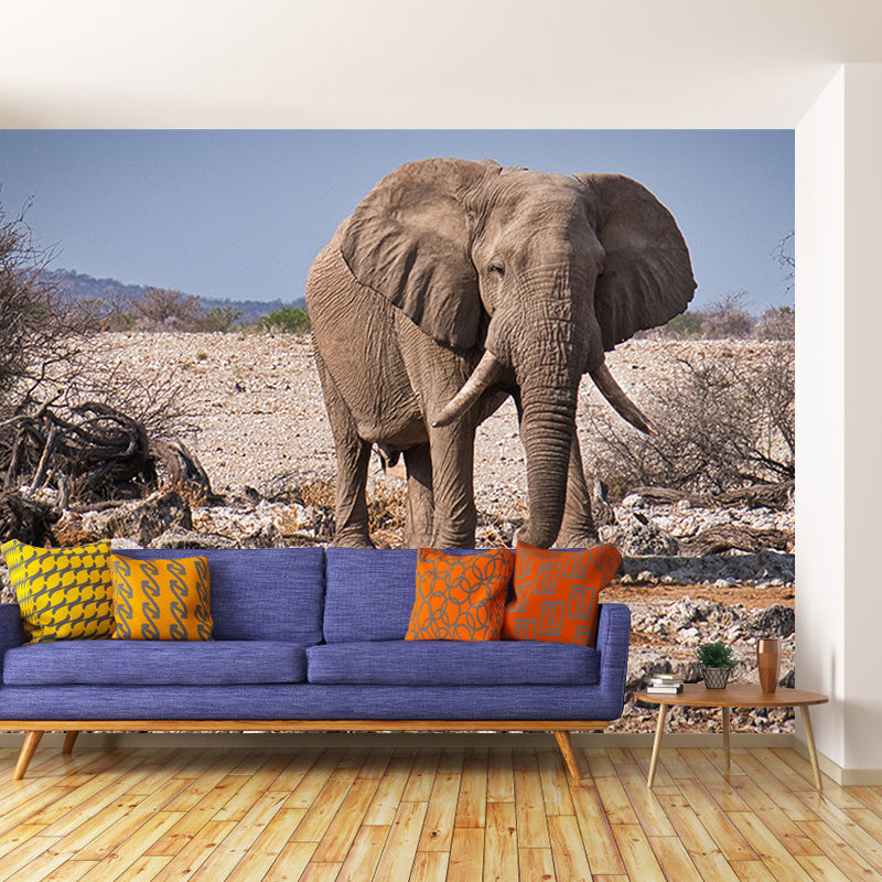Elephant Animal Wall Covering for Home Decoration Waterproofing, Made to Measure