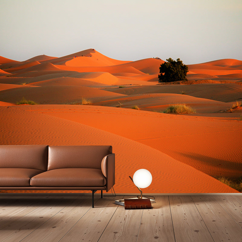 Desert Mural for Sitting Room Moisture Resistant Wall Decor, Contemporary Wall Covering for