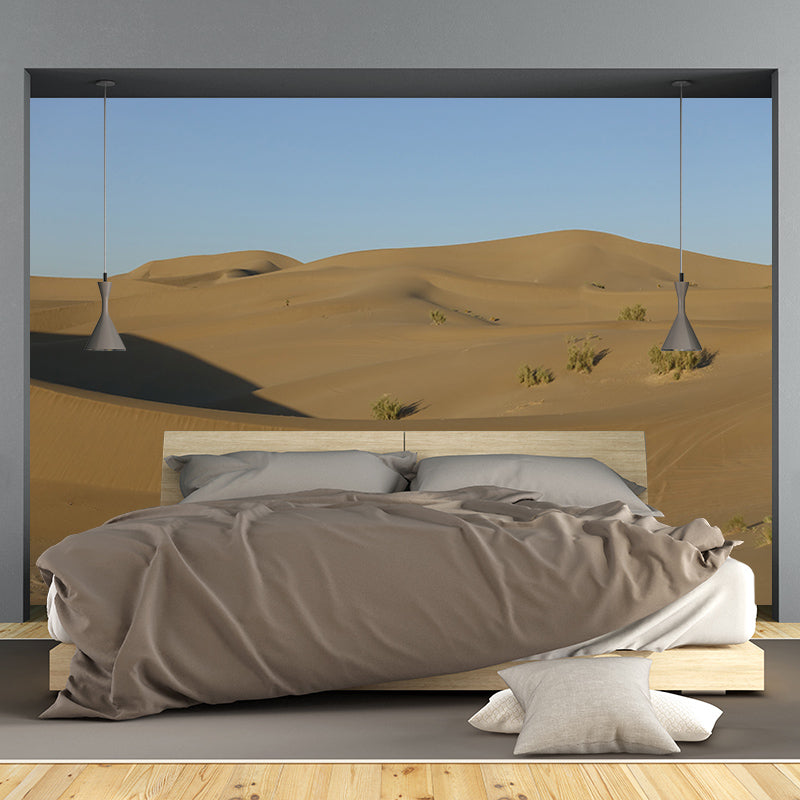 Desert Mural for Sitting Room Moisture Resistant Wall Decor, Contemporary Wall Covering for