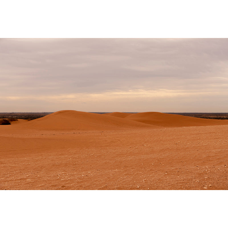 Contemporary Desert Sand Wall Covering for Living Room, Stain Resistant