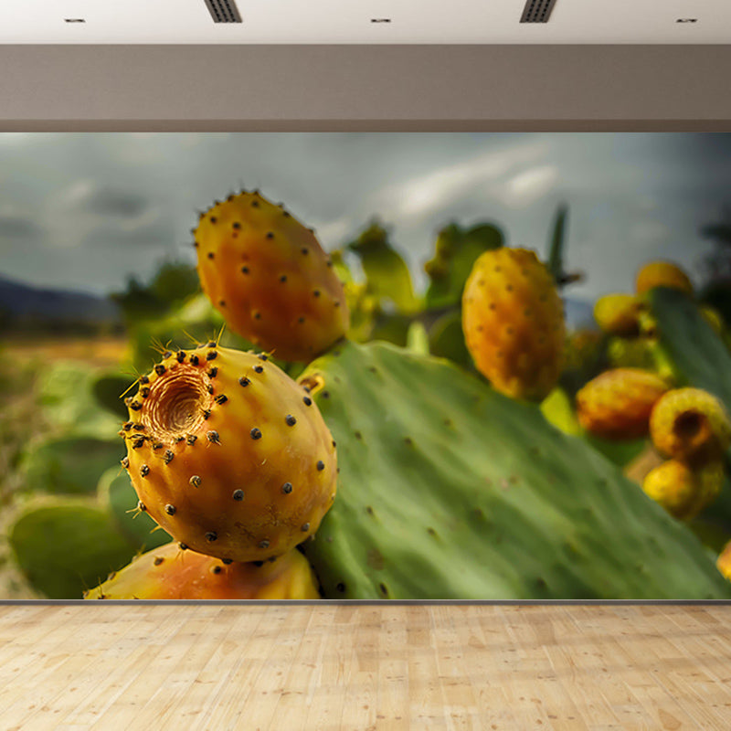 House Interior Wall Mural Tropical Prickly Pear for Sitting Room, Water Resistant