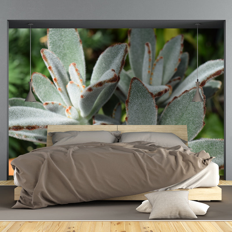 Tropical Plants Mural House Interior Wall Art, Made to Measure, Waterproofing