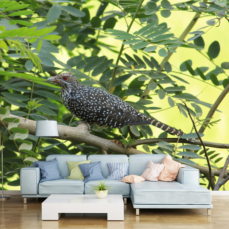 Photography Cuckoo Mural Environment Friendly Wallpaper for Sleeping Room Bedroom