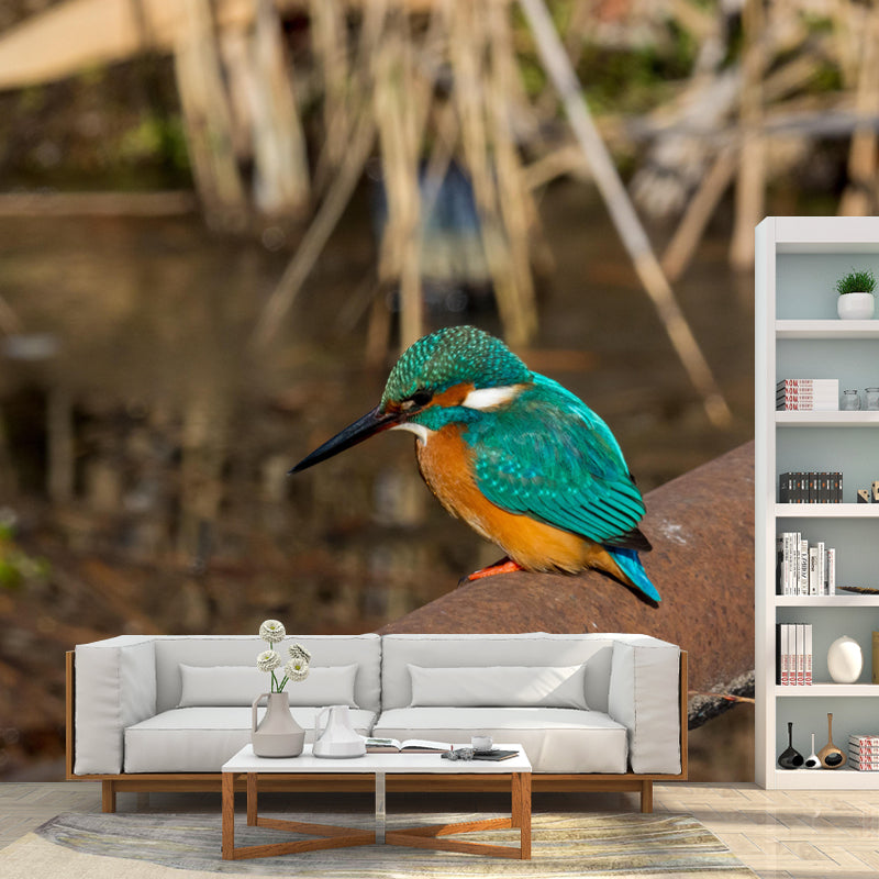 Kingfisher Mural Environment Friendly Wallpaper for Sleeping Room Bedroom