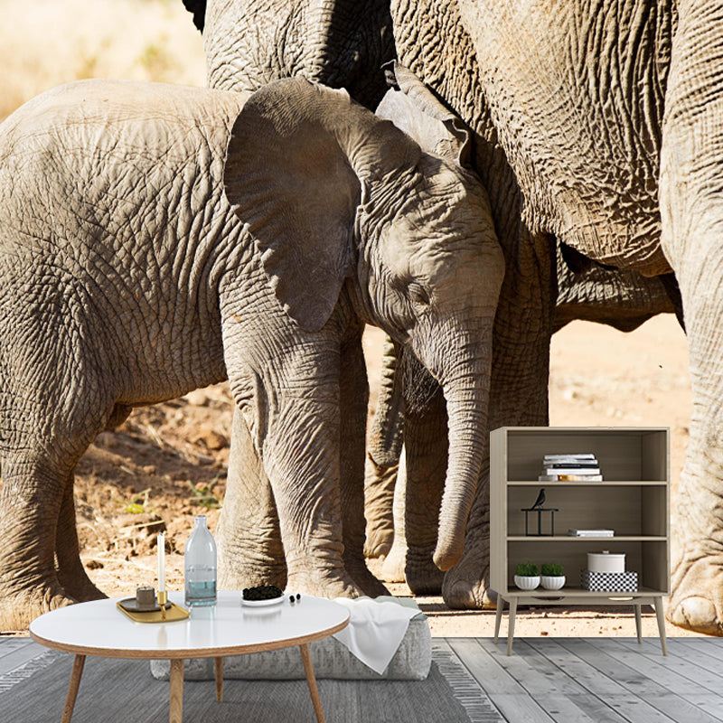 Elephant Mural Environment Friendly Wallpaper for Sleeping Room Bedroom