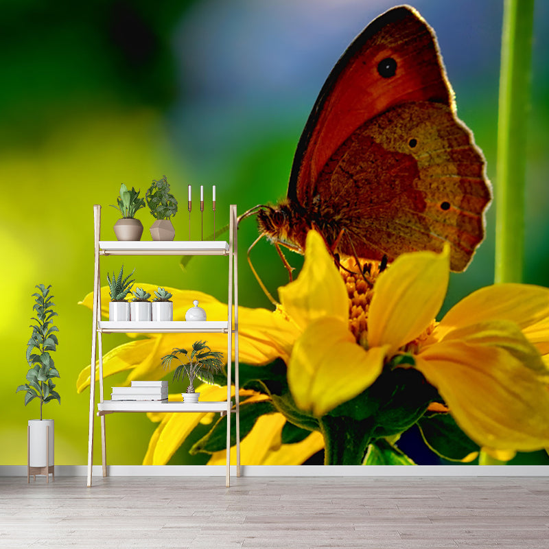 Customized Photography Butterfly Mural Stain Resistant Wall Art for Dining Room