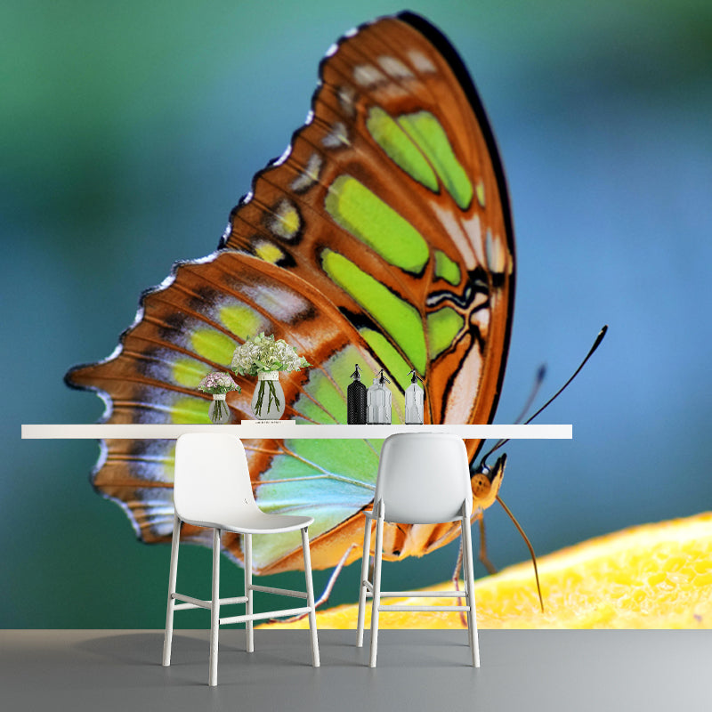 Customized Photography Butterfly Mural Stain Resistant Wall Art for Dining Room