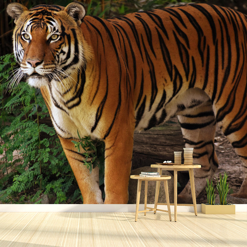 Modern Tiger Mural Wallpaper Moisture Resistant Living Room Wall Covering
