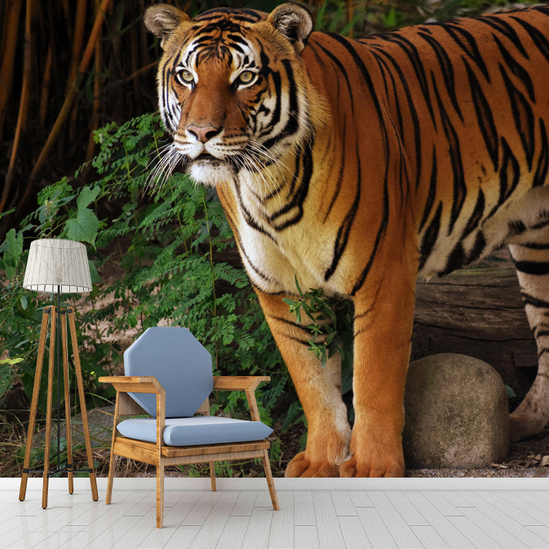 Modern Tiger Mural Wallpaper Moisture Resistant Living Room Wall Covering
