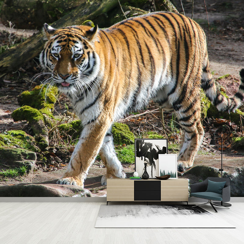 Modern Tiger Mural Wallpaper Moisture Resistant Living Room Wall Covering