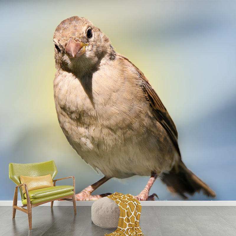 Modern Sparrow Mural Wallpaper Moisture Resistant Living Room Wall Covering