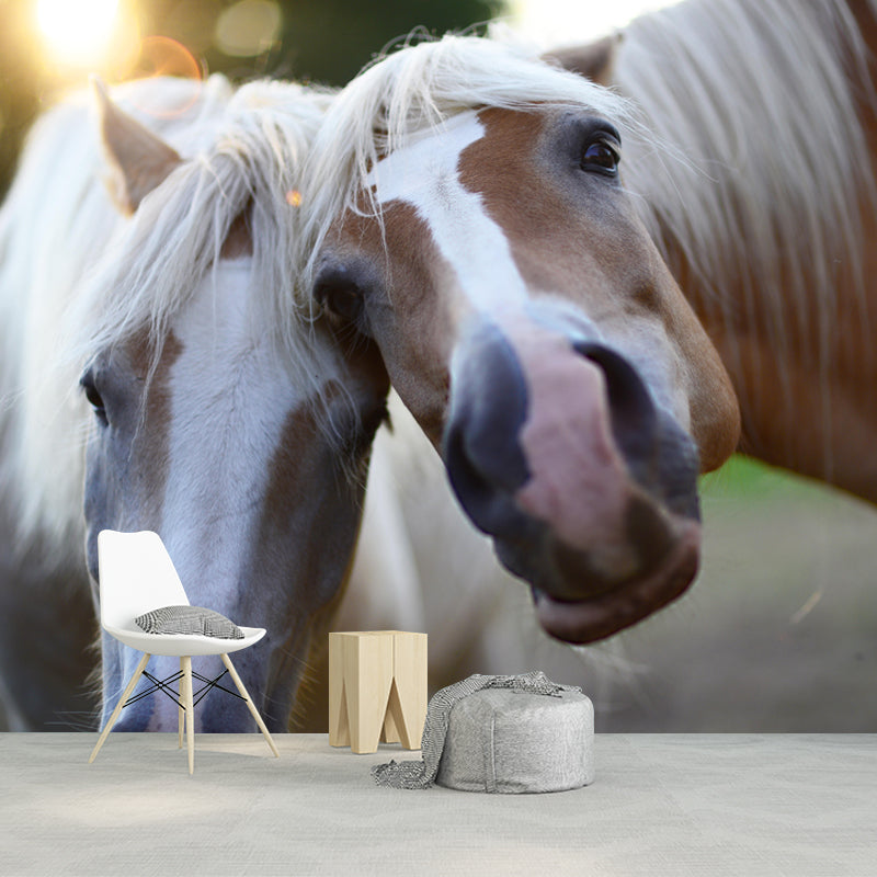 Modern Horse Mural Wallpaper Moisture Resistant Living Room Wall Covering