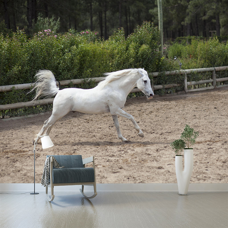 Modern Horse Mural Wallpaper Moisture Resistant Living Room Wall Covering