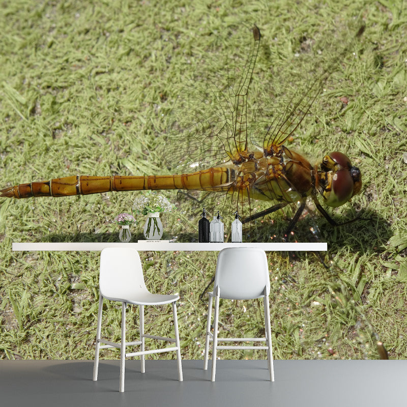 Customized Photography Dragonfly Mural Stain Resistant Wall Art for Dining Room