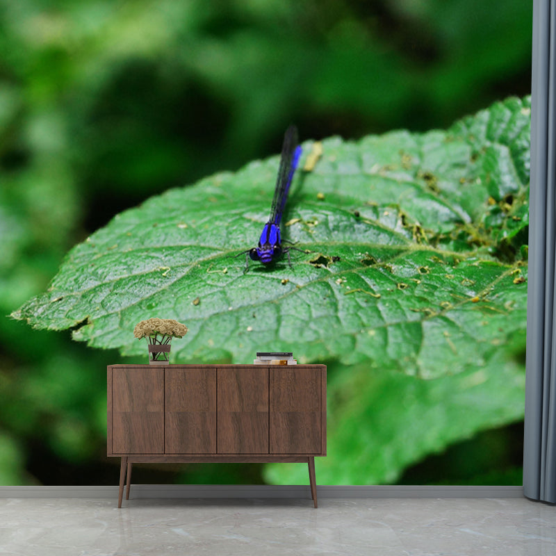 Customized Photography Dragonfly Mural Stain Resistant Wall Art for Dining Room