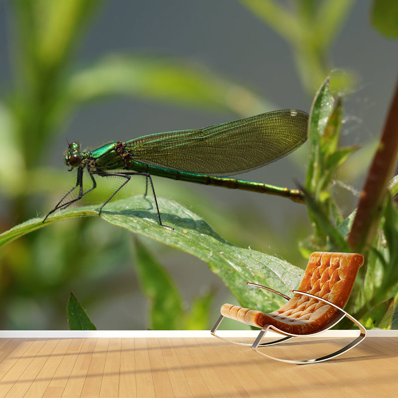 Customized Photography Dragonfly Mural Stain Resistant Wall Art for Dining Room