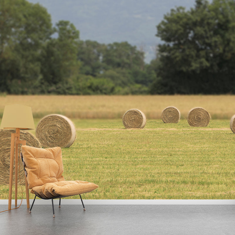 Straw Bale Landscapes Mural Wallpaper Moisture Resistant Living Room Wall Covering