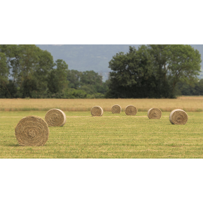 Straw Bale Landscapes Mural Wallpaper Moisture Resistant Living Room Wall Covering