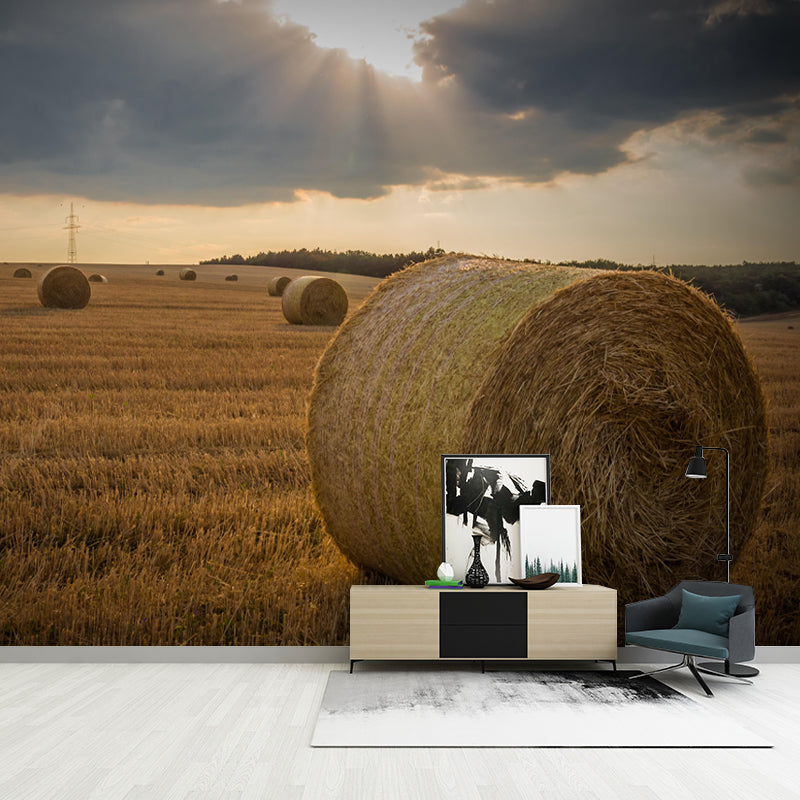 Contemporary Style Straw Bale Mural Stain Resistant Wall Art for Dining Room