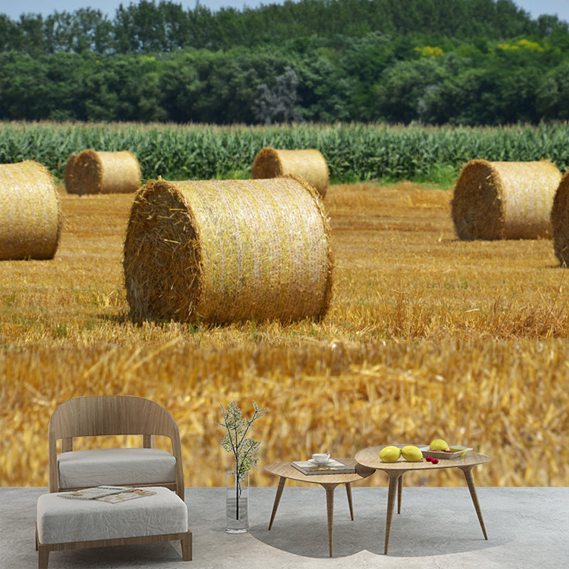 Customized Straw Bale Wall Mural Covering Mildew Resistant for Living Room