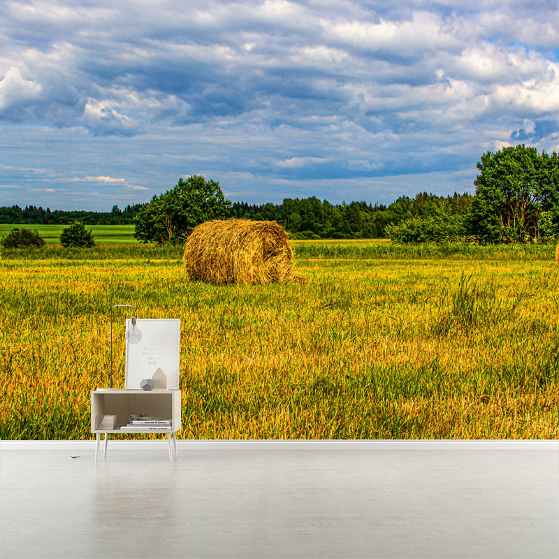 Contemporary Straw Bale Mural Wallpaper Moisture Resistant Living Room Wall Covering