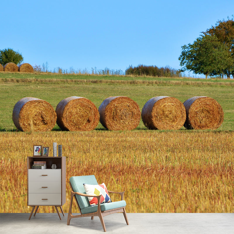 Contemporary Straw Bale Mural Wallpaper Moisture Resistant Living Room Wall Covering