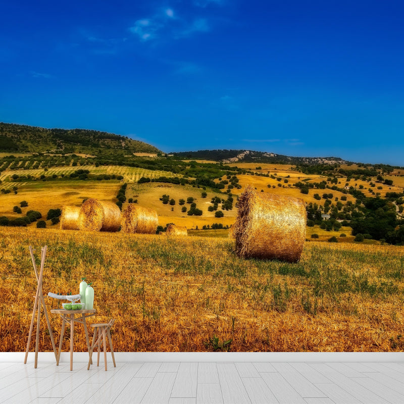 Contemporary Straw Bale Mural Wallpaper Moisture Resistant Living Room Wall Covering