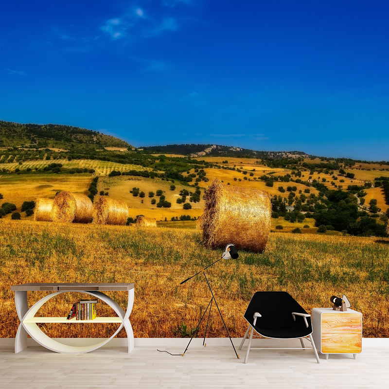 Contemporary Straw Bale Mural Wallpaper Moisture Resistant Living Room Wall Covering