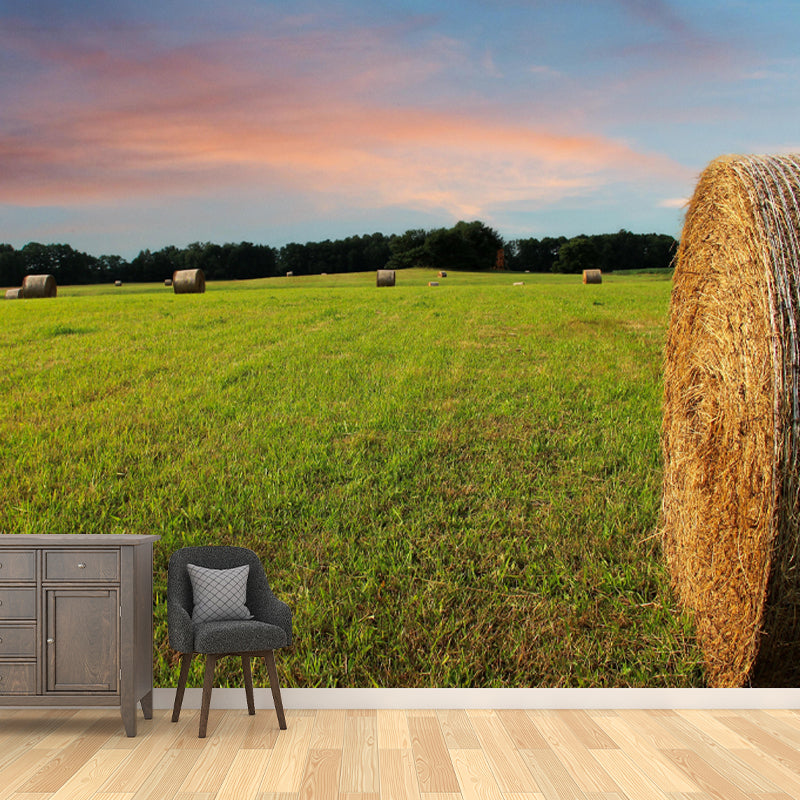 Customized Straw Bale Landscapes Mural Environment Friendly for Sleeping Room