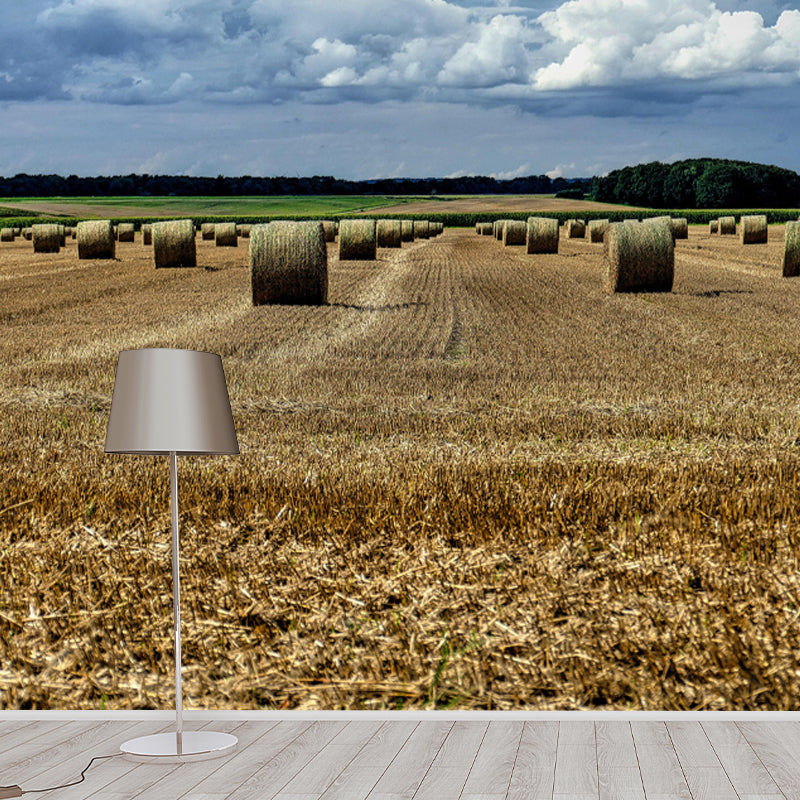 Customized Straw Bale Wall Mural Covering Mildew Resistant for Sleeping Room