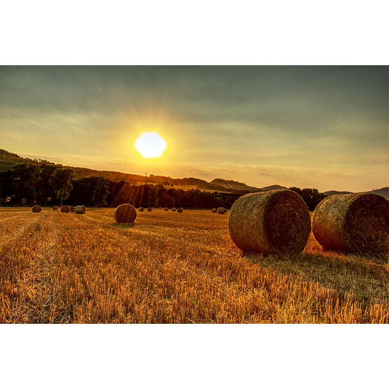 Customized Straw Bale Wall Mural Covering Mildew Resistant for Sleeping Room