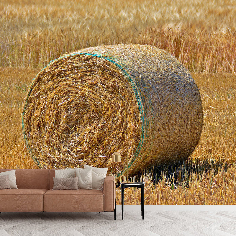Customized Straw Bale Mural Environment Friendly for Sleeping Room Bedroom