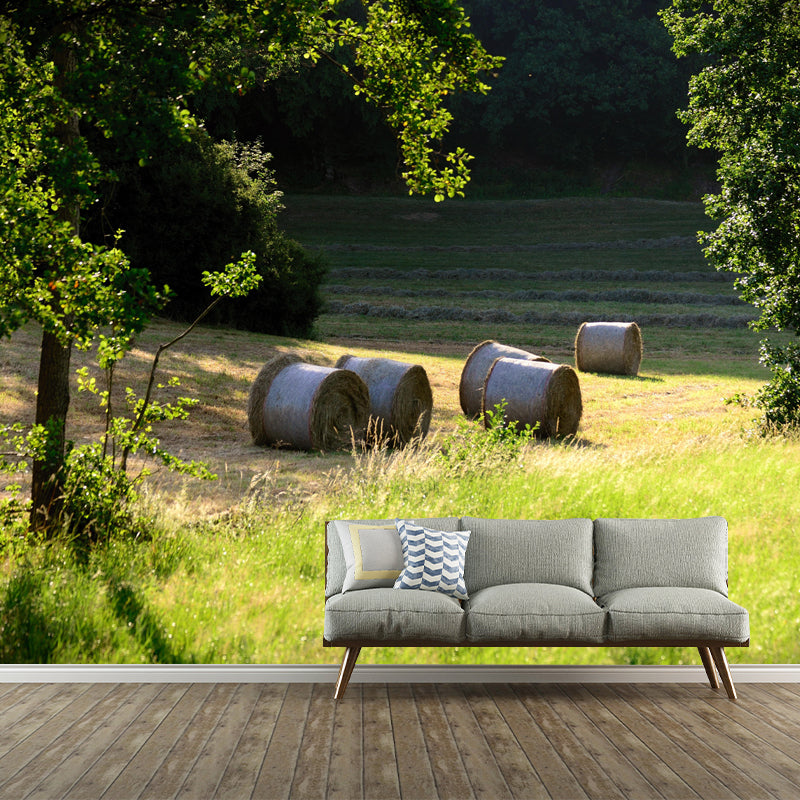 Customized Straw Bale Mural Environment Friendly for Sleeping Room Bedroom