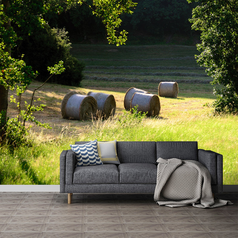 Customized Straw Bale Mural Environment Friendly for Sleeping Room Bedroom