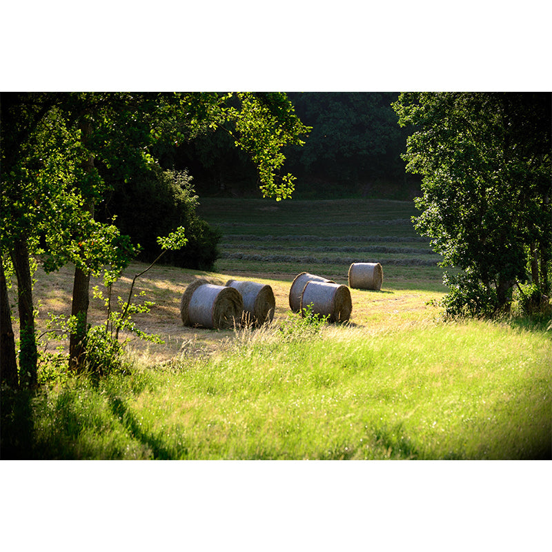 Customized Straw Bale Mural Environment Friendly for Sleeping Room Bedroom