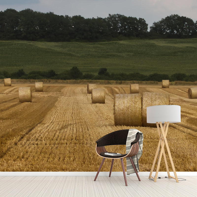 Customized Straw Bale Mural Environment Friendly for Sleeping Room Bedroom