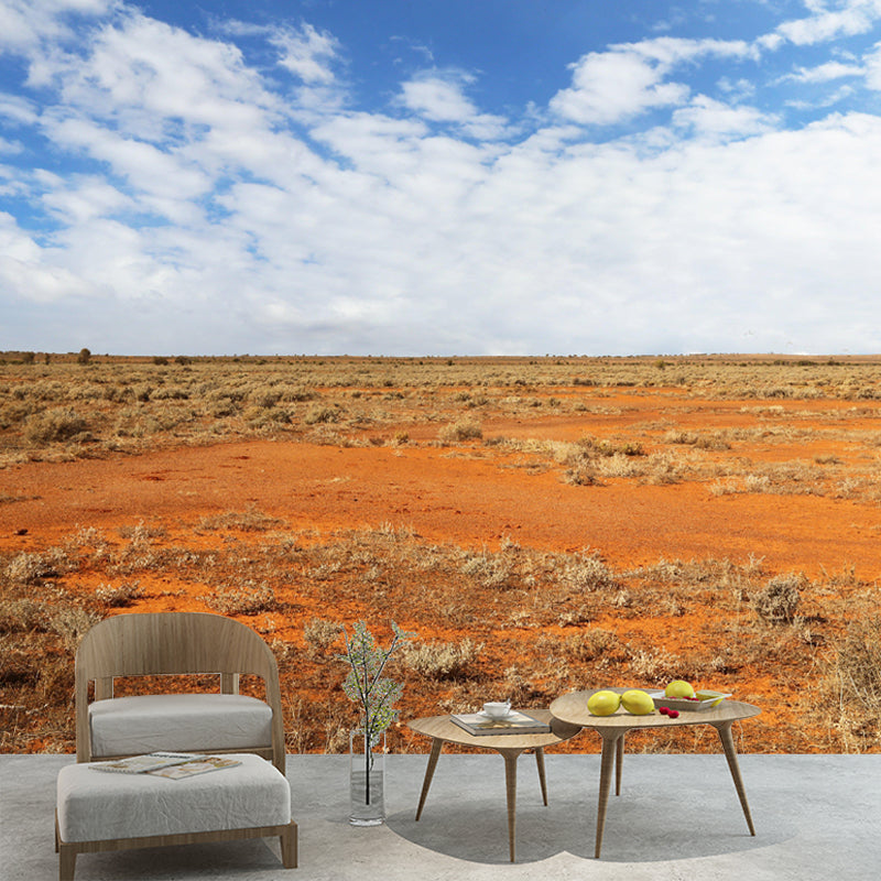 Customized Photography Desert Mural Environment Friendly for Living Room