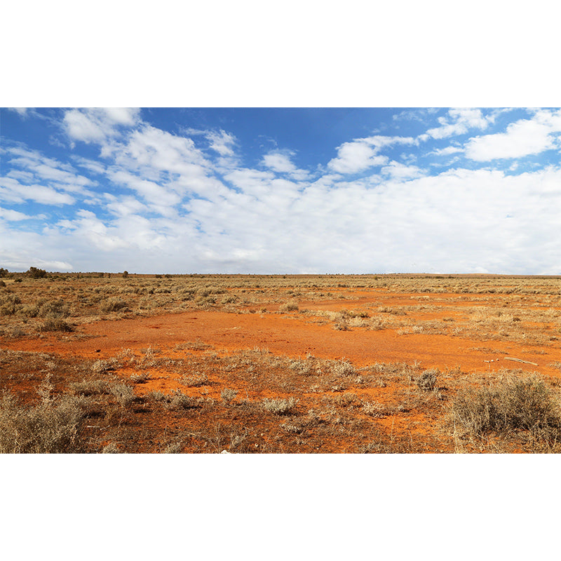 Customized Photography Desert Mural Environment Friendly for Living Room