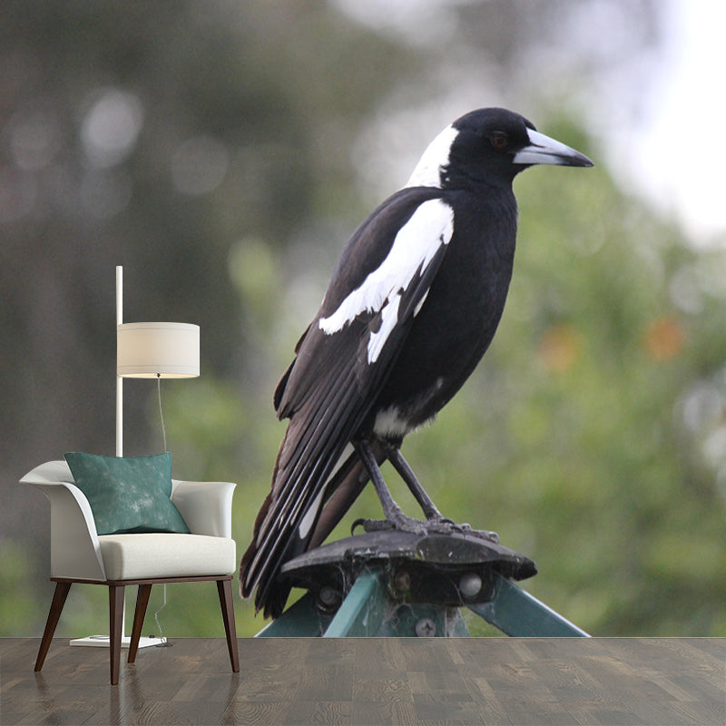 Modern Magpie Mural Wallpaper Moisture Resistant Living Room Wall Covering