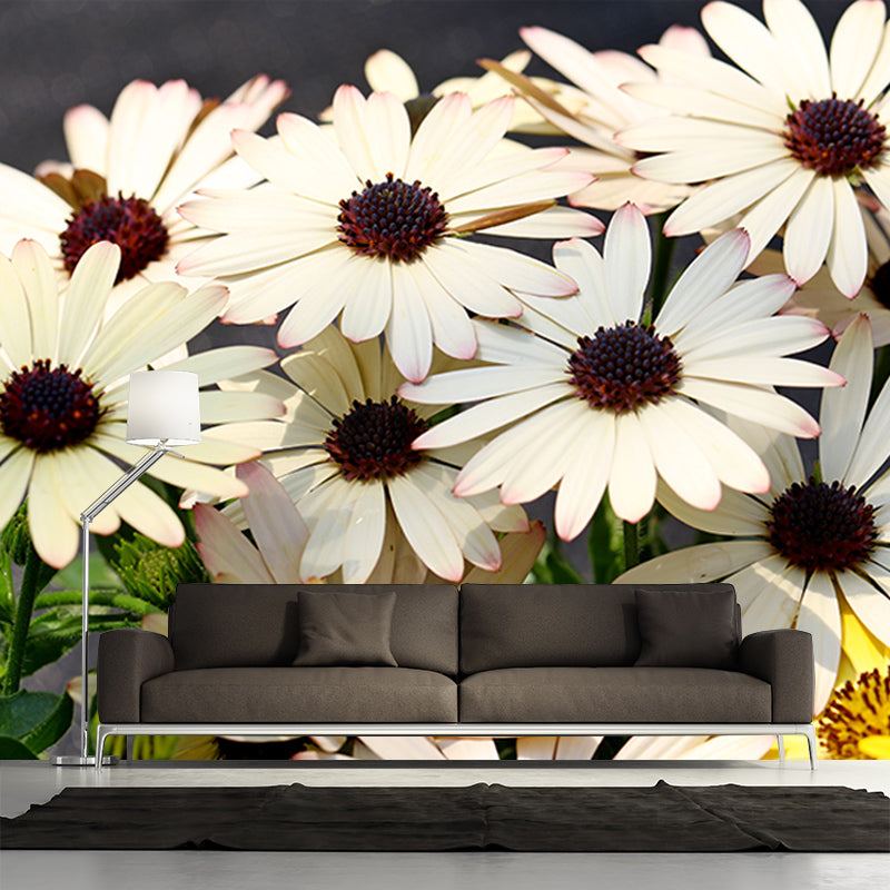 Gerbera Mural Wallpaper Minimalist for Gust Room Bedroom, Stain Resistant