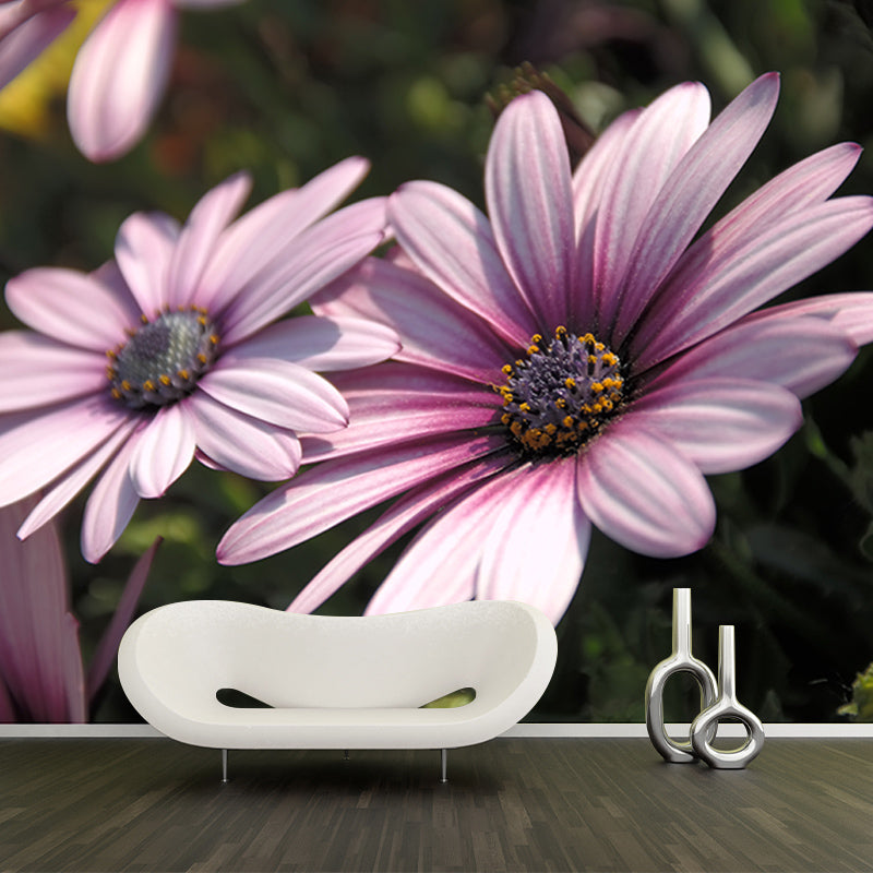 Gerbera Mural Wallpaper Minimalist for Gust Room Bedroom, Stain Resistant