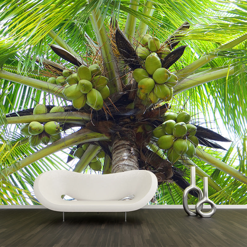 Tropical Coconut Tree Mural for Living Room Waterproofing, Custom Size Available