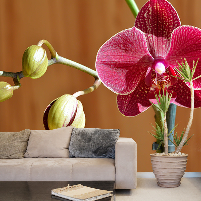 Orchid Flower Mural Wallpaper Colorful Mildew Resistant Wallpaper, Custom Size Available