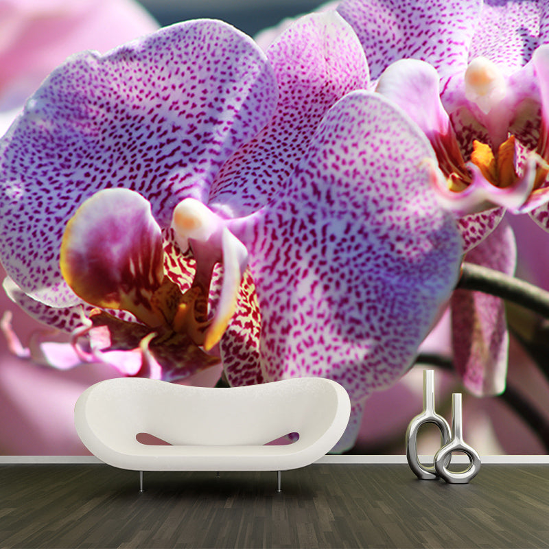 Orchid Flower Mural Wallpaper Colorful Mildew Resistant Wallpaper, Custom Size Available