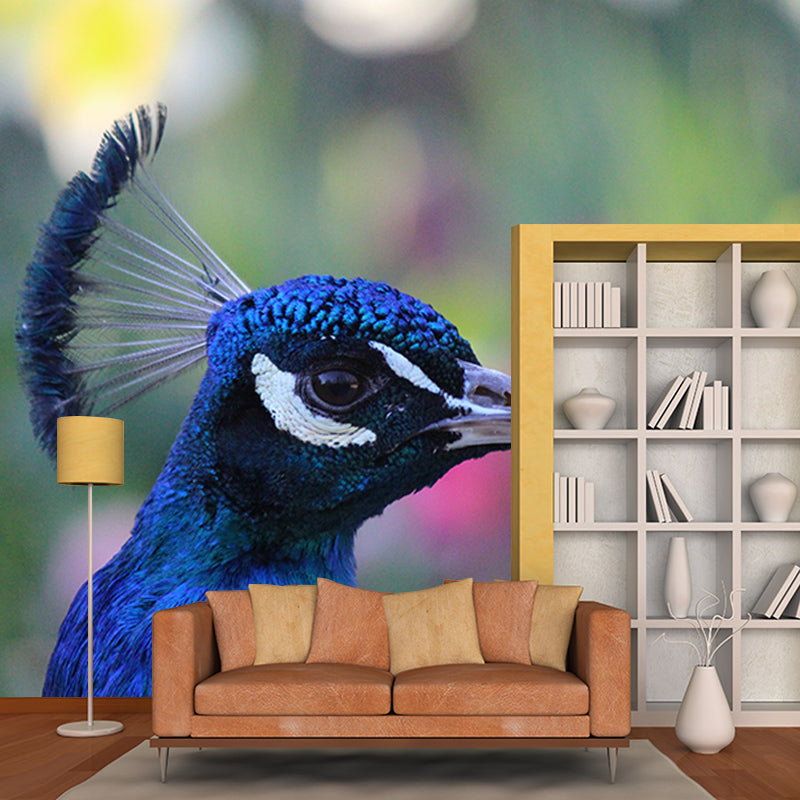Beautiful Peacock Mural Wallpaper Gust Room Decorative, Personalized Size Available