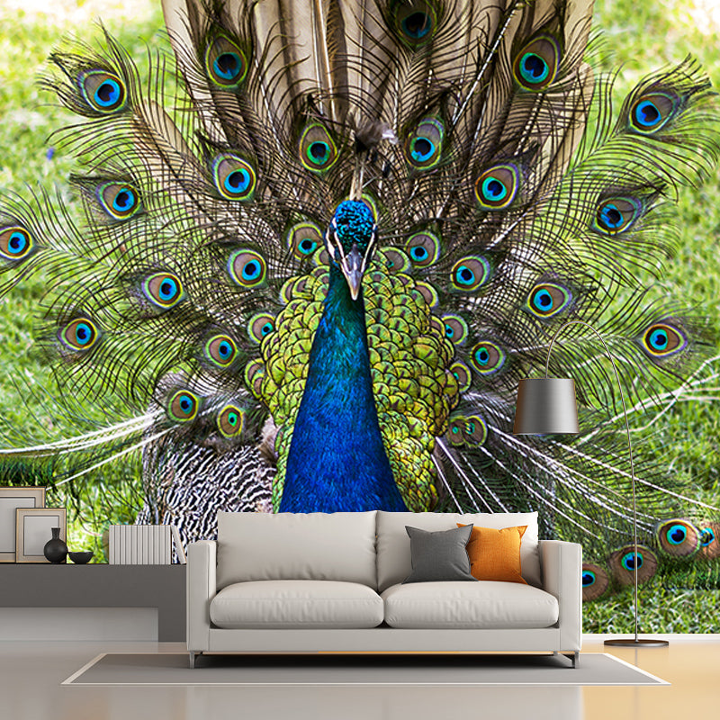Peacock Mural Wallpaper for Ceiling Customised Wall Decor in Blue, Waterproofing