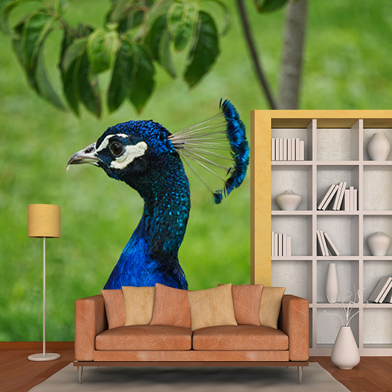 Peacock Mural Wallpaper for Ceiling Customised Wall Decor in Blue, Waterproofing