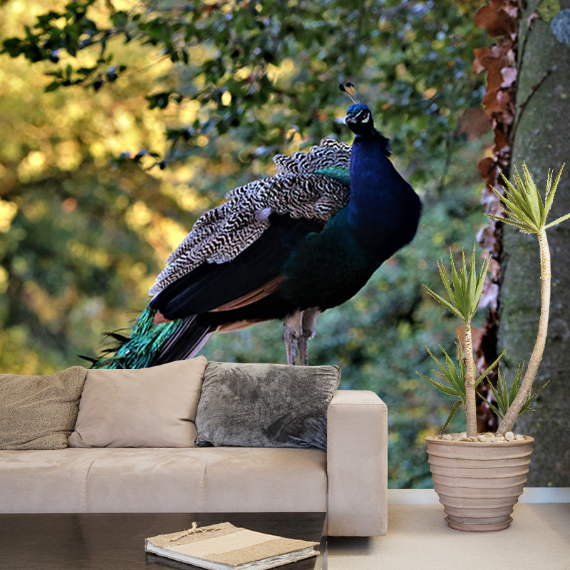 Peacock Mural Wallpaper for Ceiling Customised Wall Decor in Blue, Waterproofing