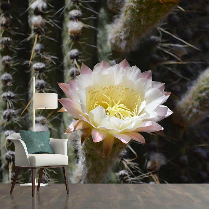 Tropical Plants Mural Decal Customized Modern Wall Covering for House Interior